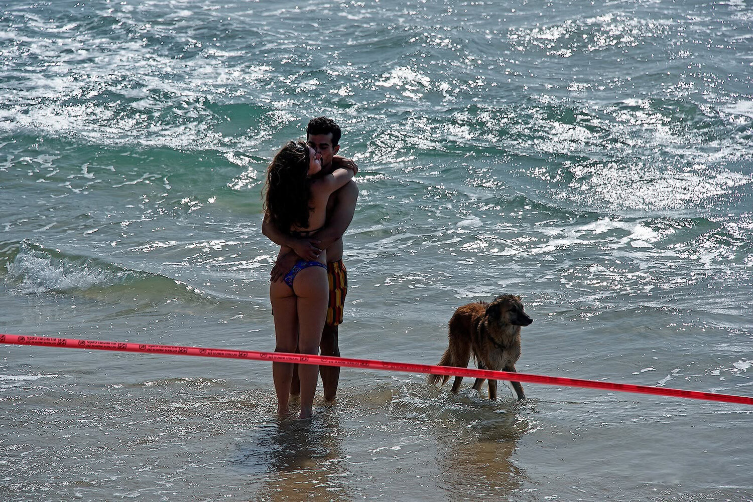 Photo #13841240