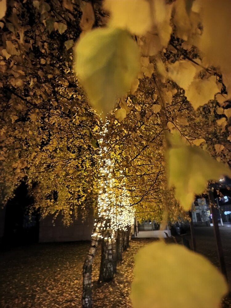 Photograph by Вероника Архипова