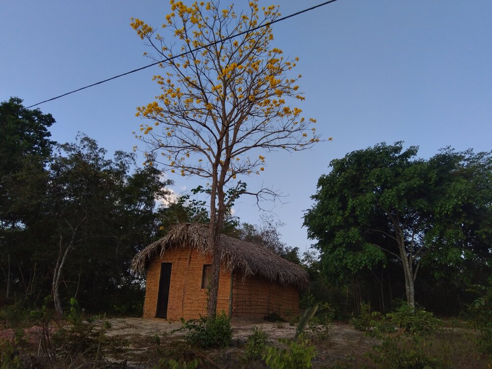 Photograph by Master Pow