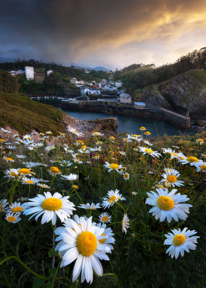 Photograph by david Navia