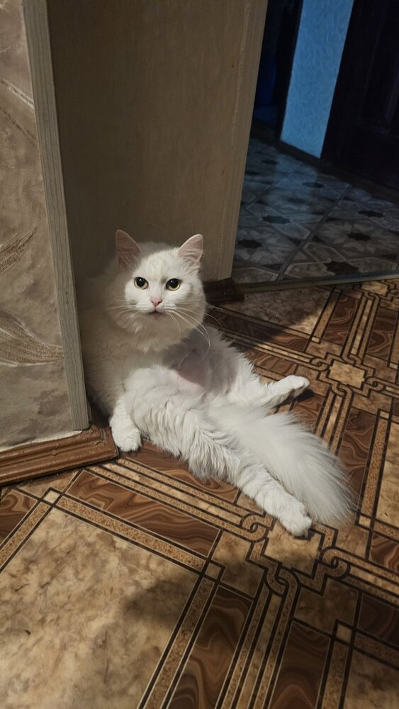 Фотография автора Марина Шевцова