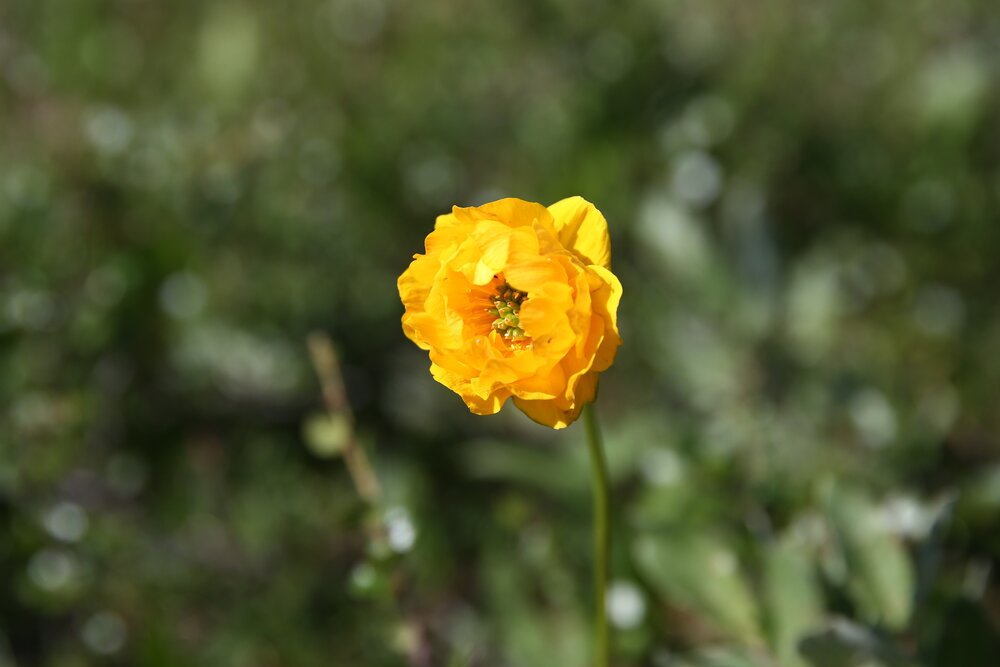 Photograph by Наталья Колбина