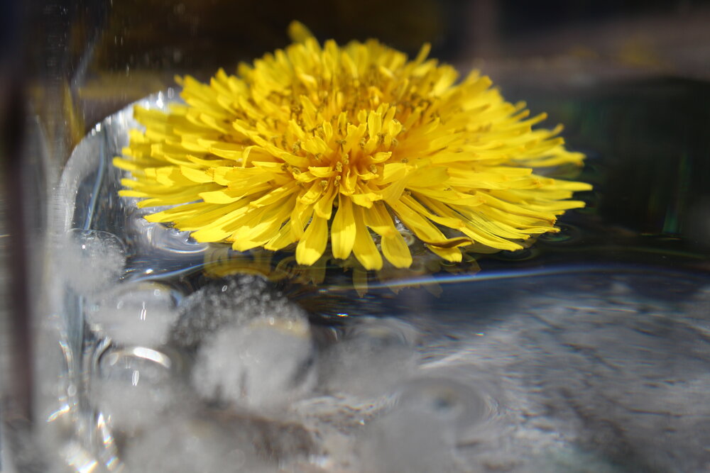 Photograph by Юлия