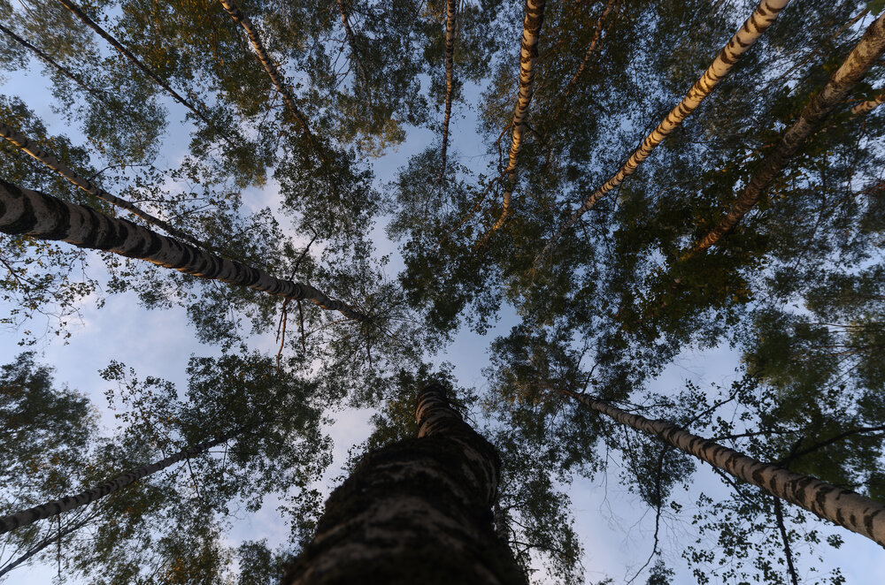 Photograph by Кирилл Корякин