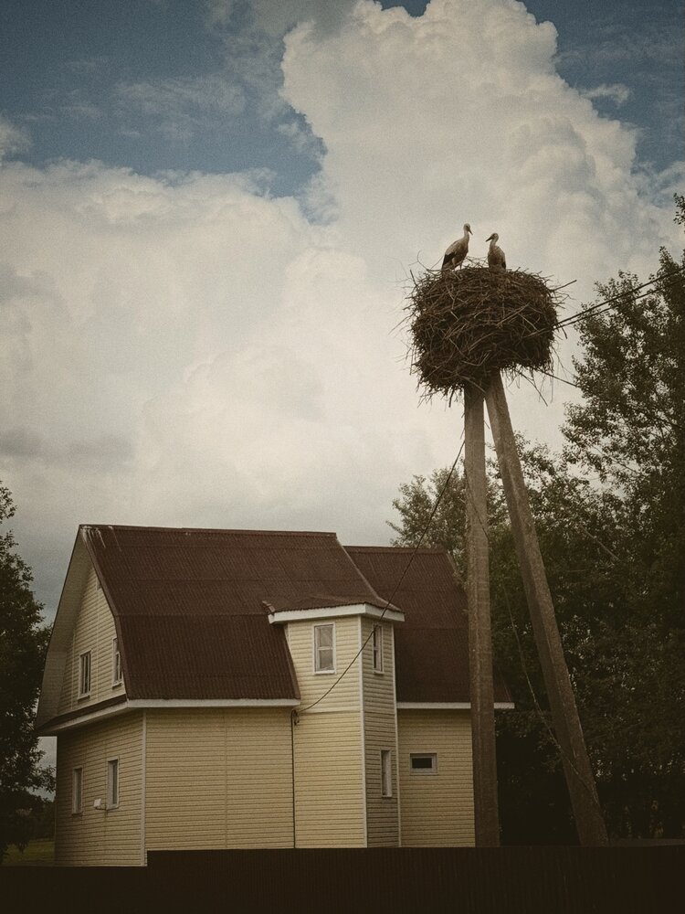 Photograph by Анна Столбова
