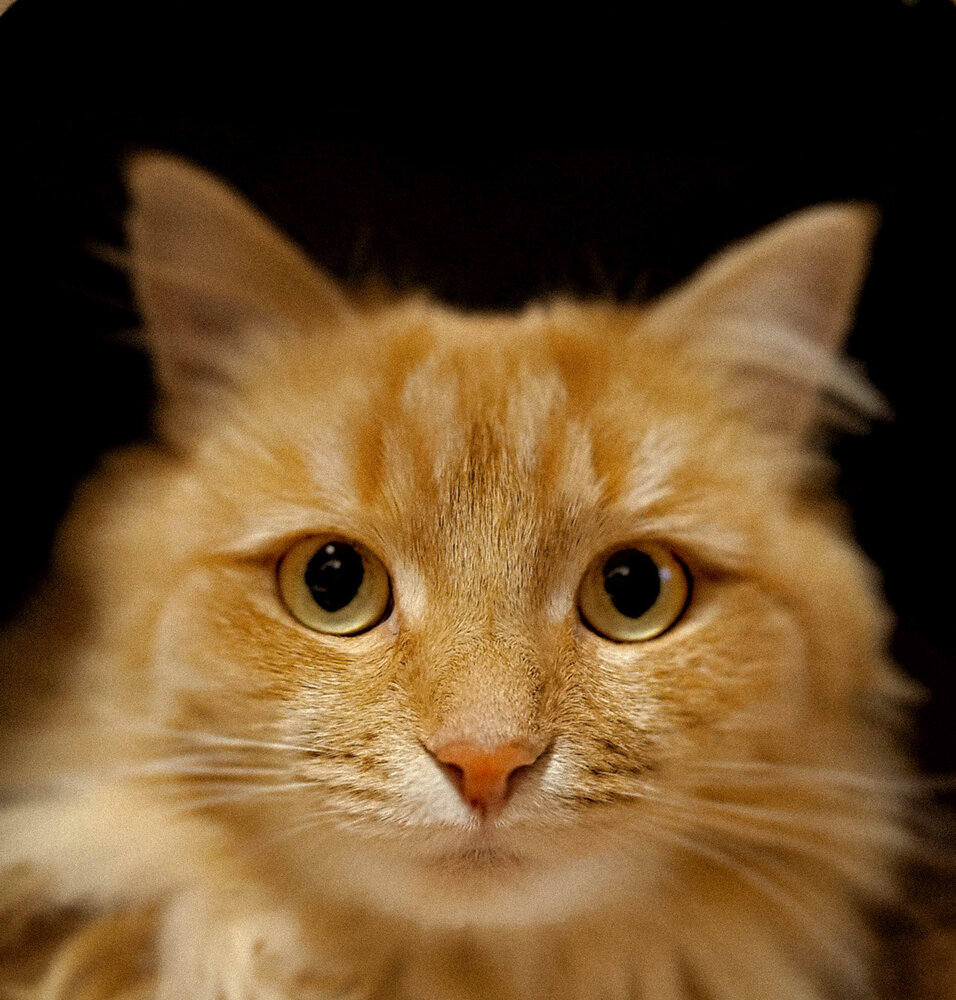 Photograph by Ольга Кунакова
