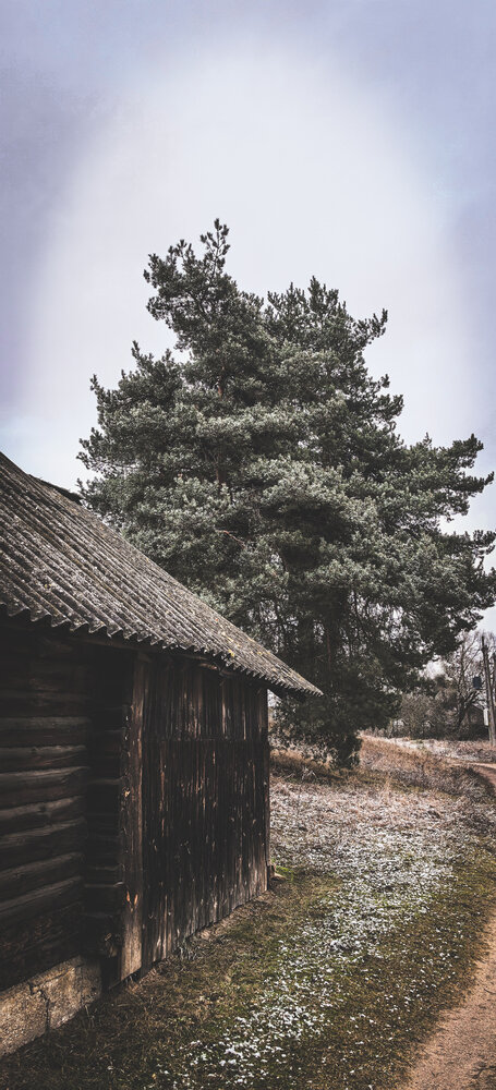 Photograph by Инна Невар