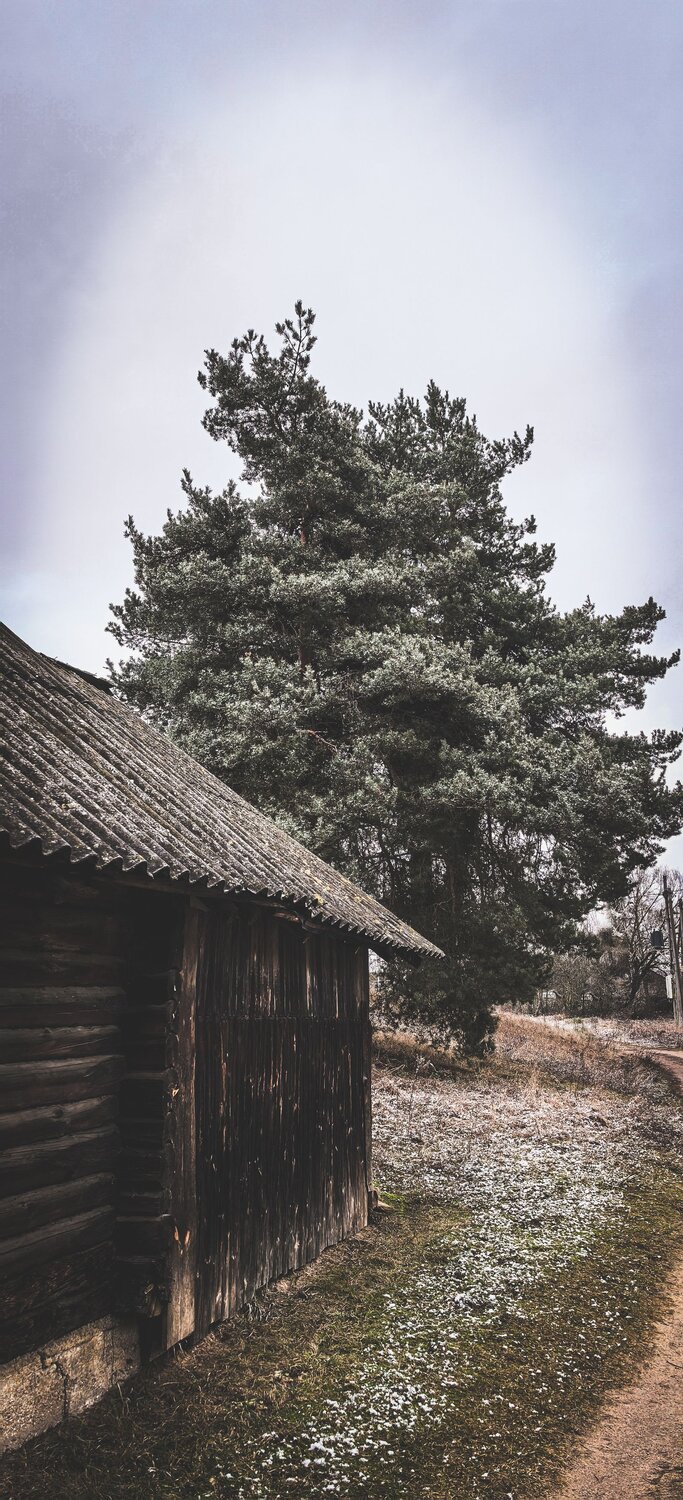 Photo #13841589