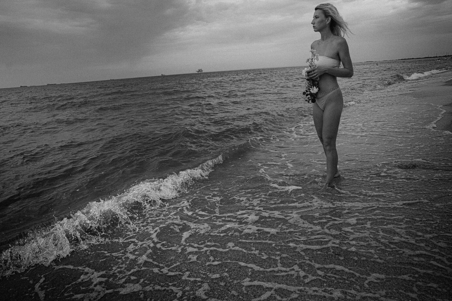 Photo #13841610