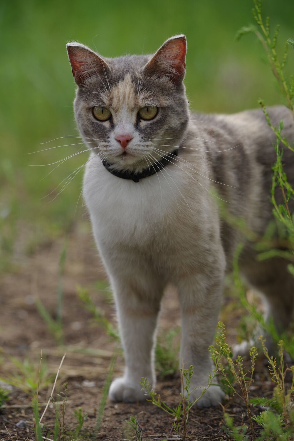 Photo #13841619
