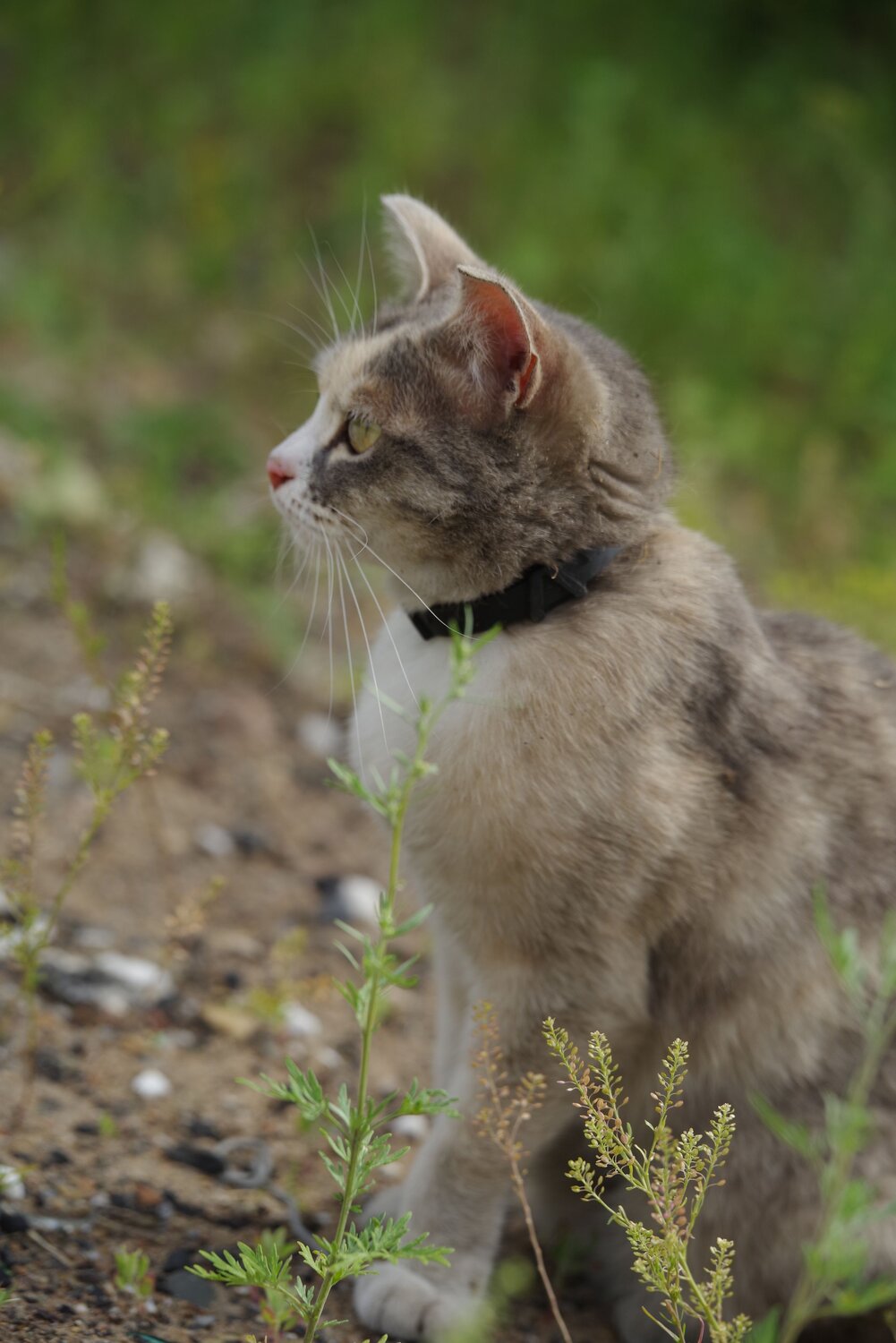 Photo #13841622