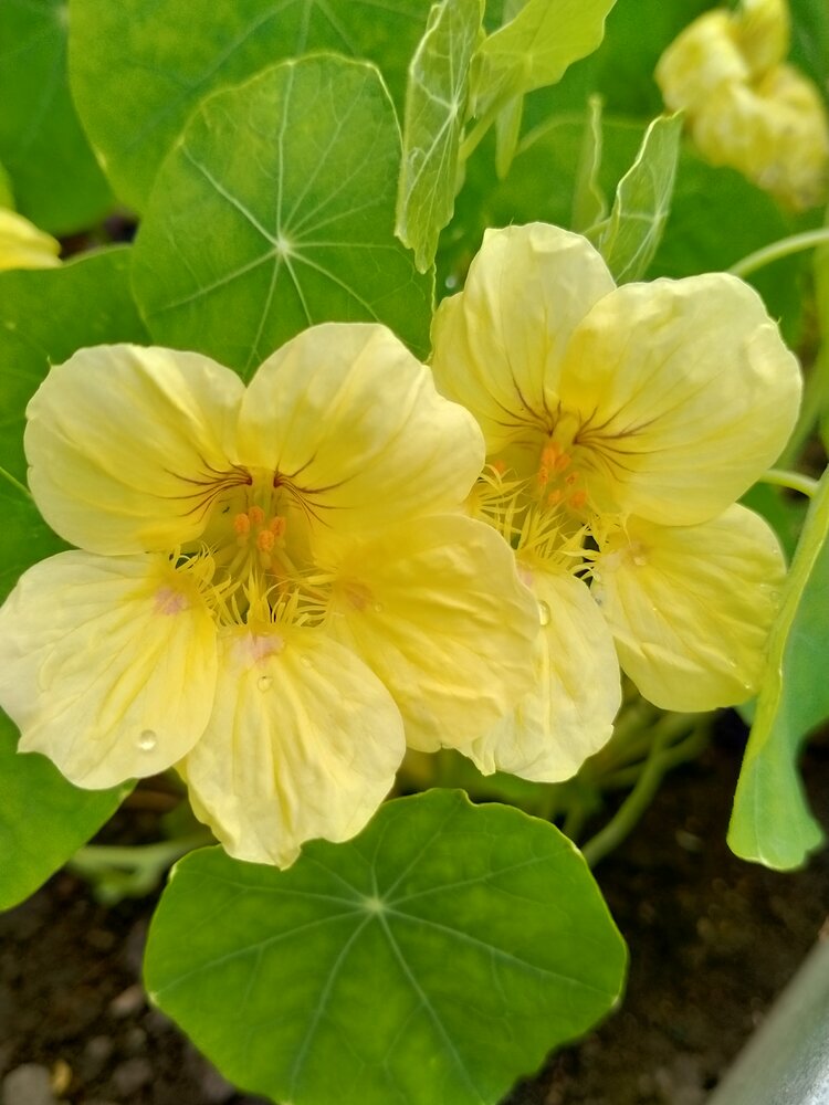 Photograph by Инна Гришина