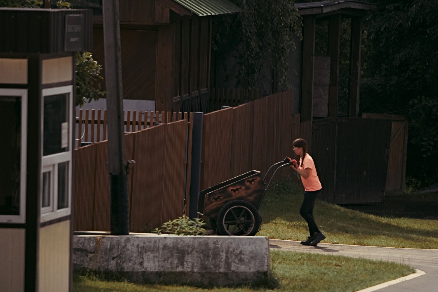 Photo #13841801