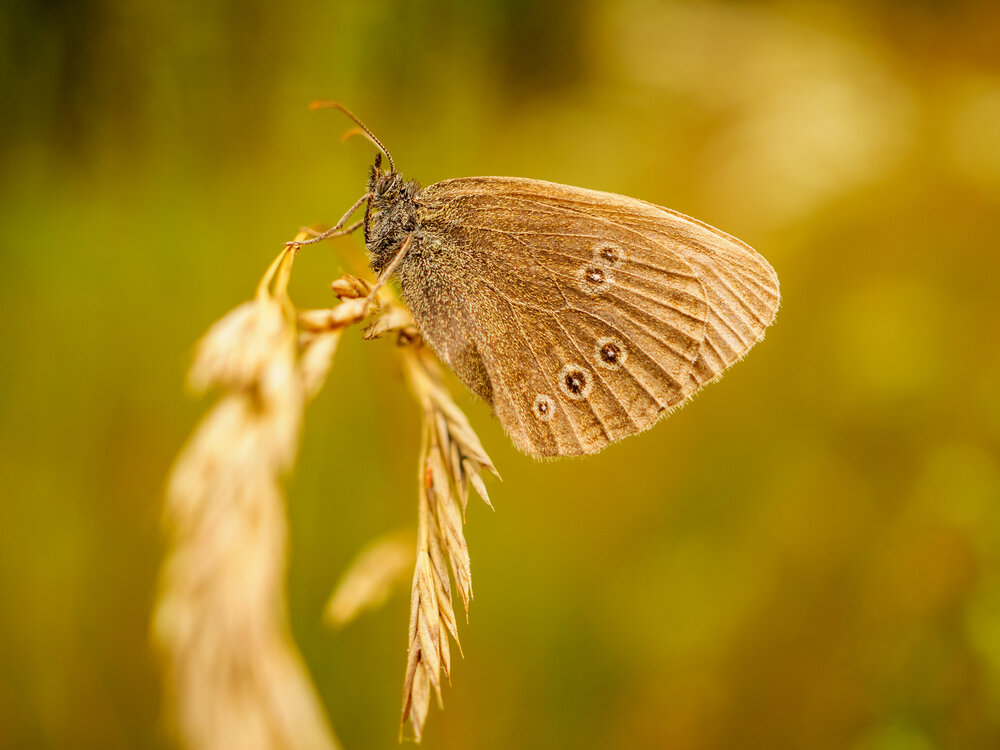 Photograph by Марина Брыдня