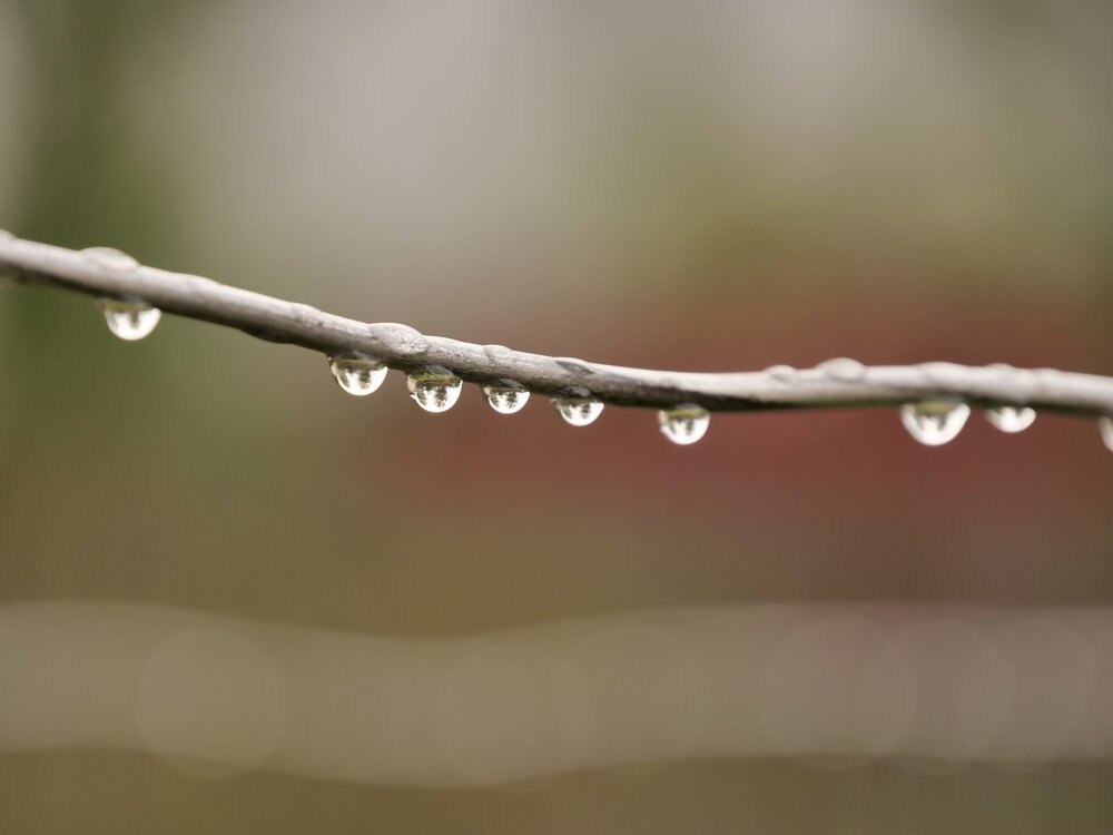 Photograph by Дмитрий Панков