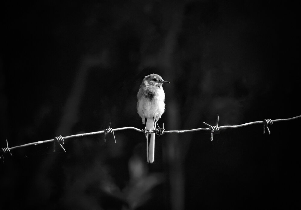 Photograph by Оксана Льдинина
