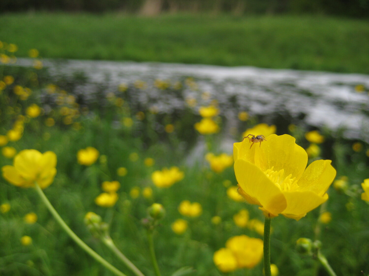 Photo #13842095