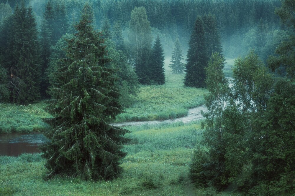 Photograph by Вячеслав Косенков