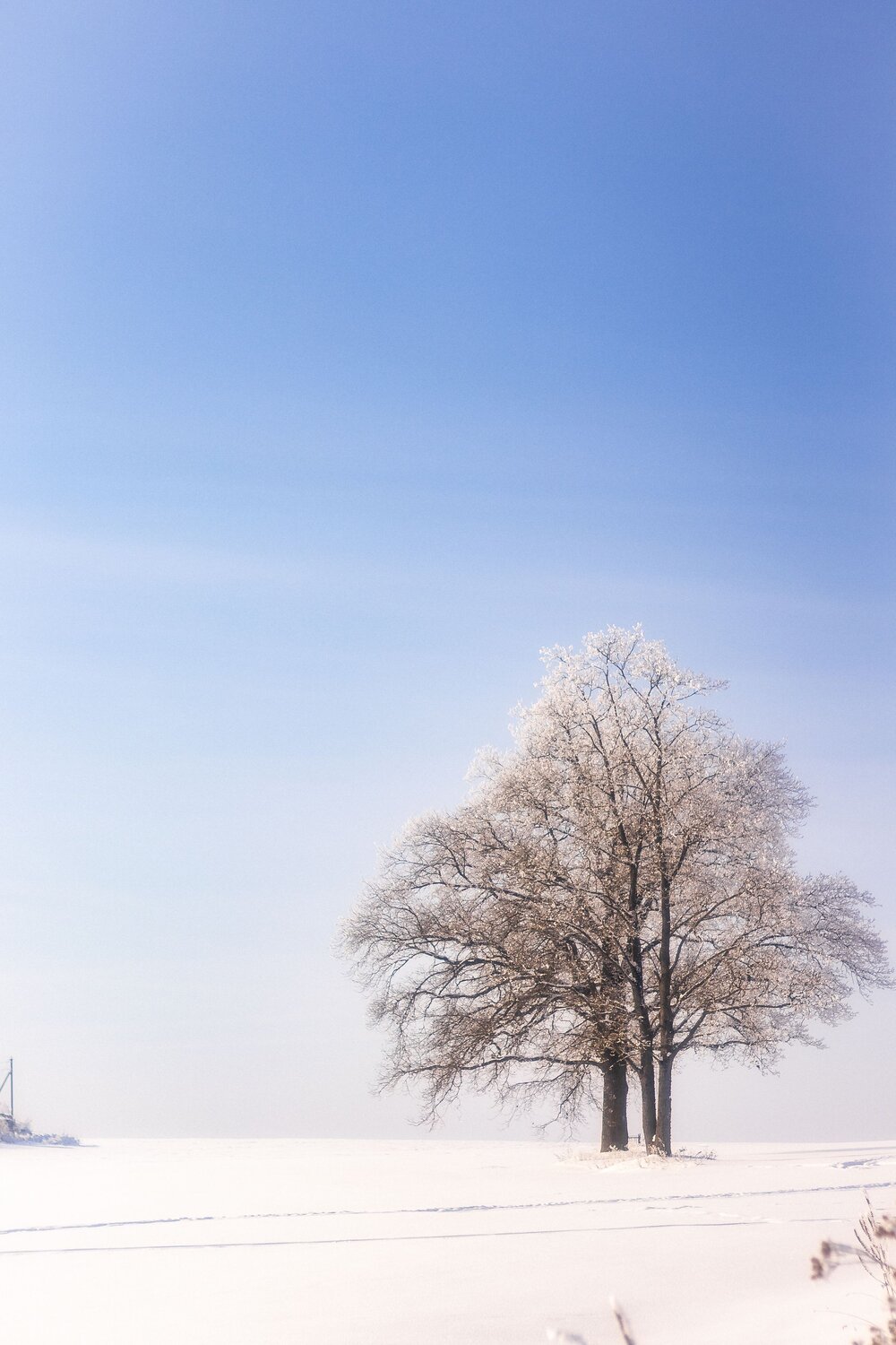 Photo #13842110