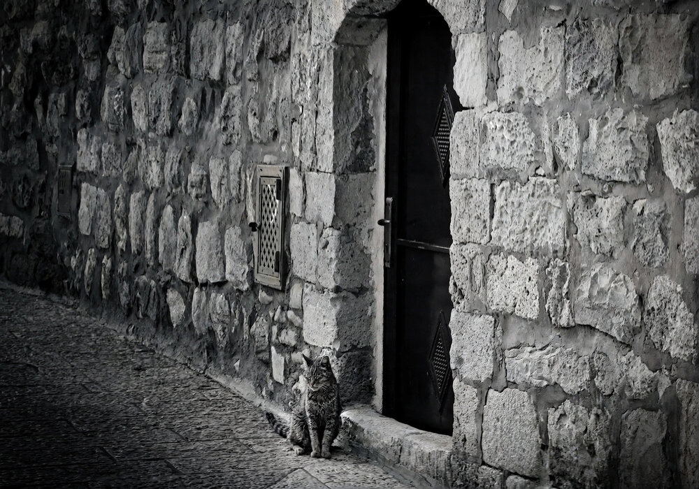 Photograph by David Solodar