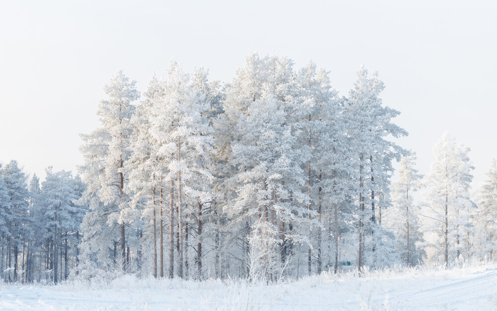 Photograph by Илья Юфа