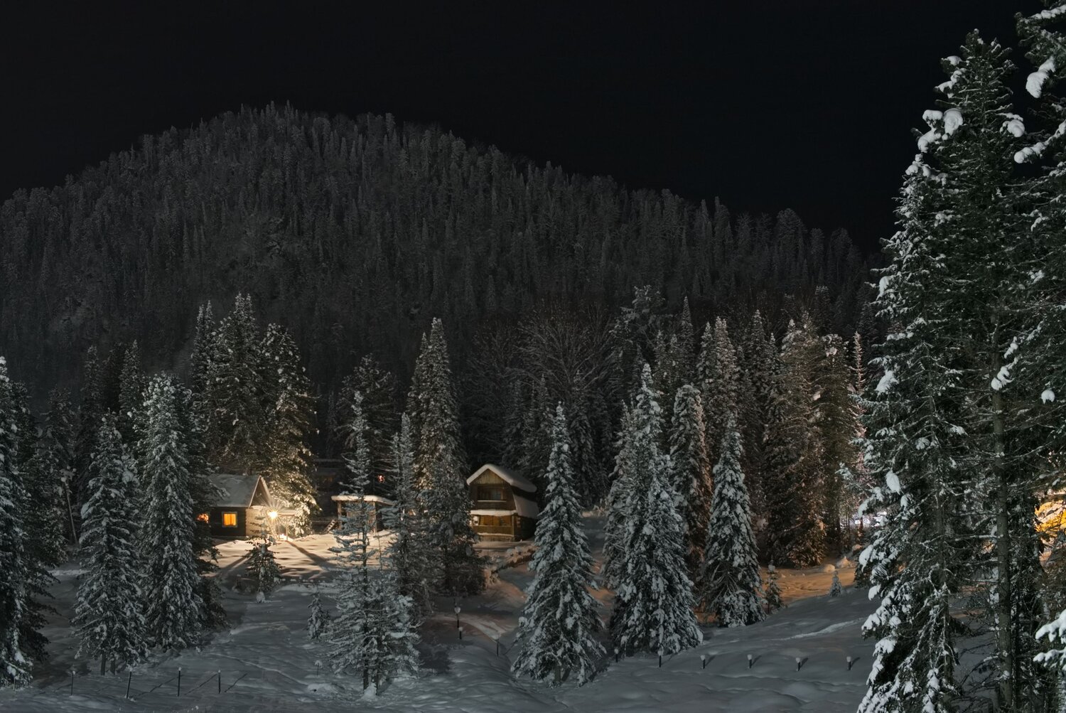 Photo #13842206