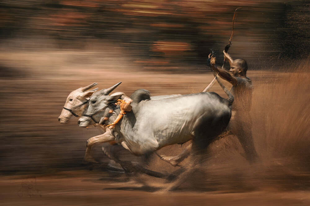 Photograph by Naushad K A