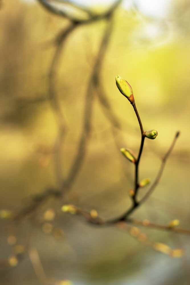Photograph by Оксана Егорова
