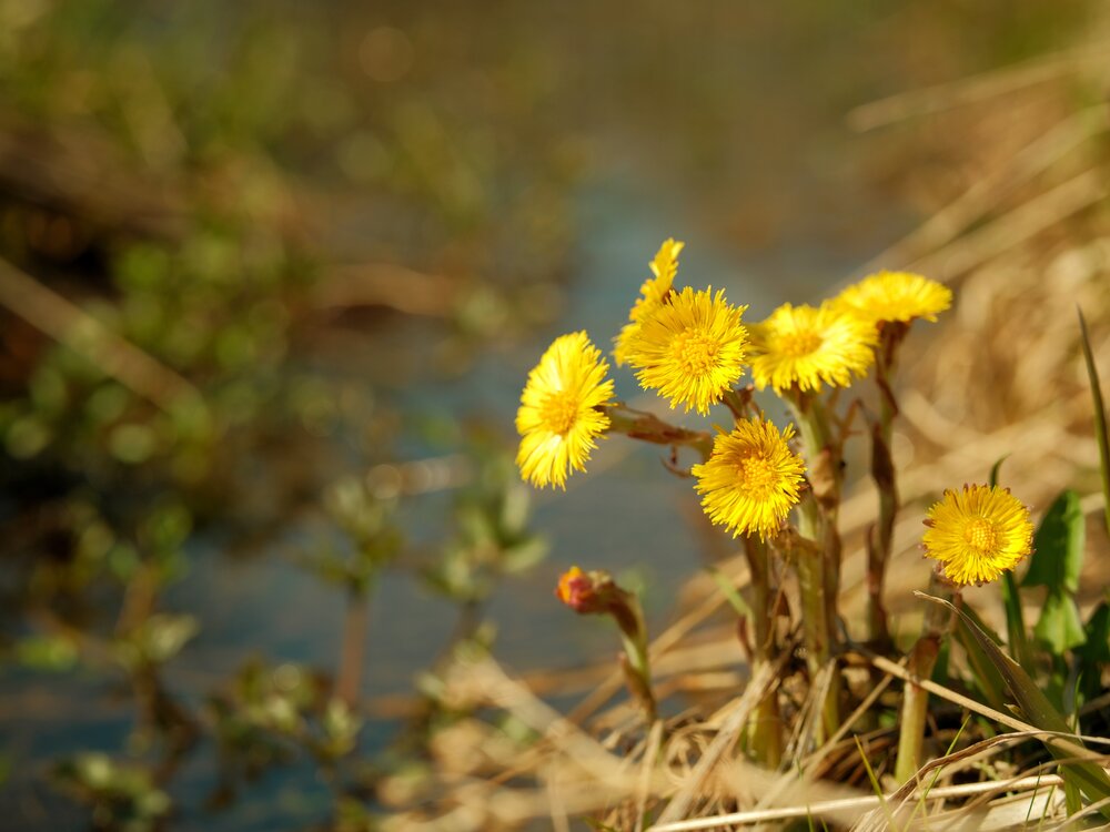 Photograph by Оксана Егорова