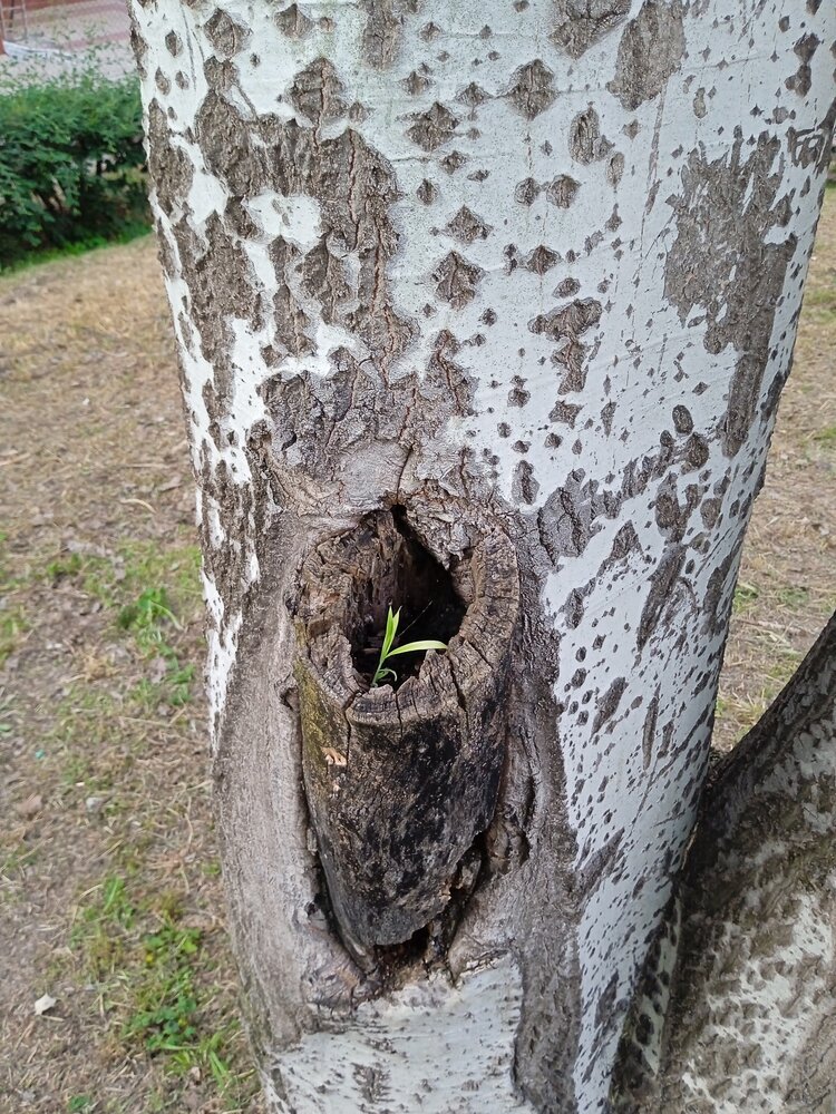 Photo #13842334