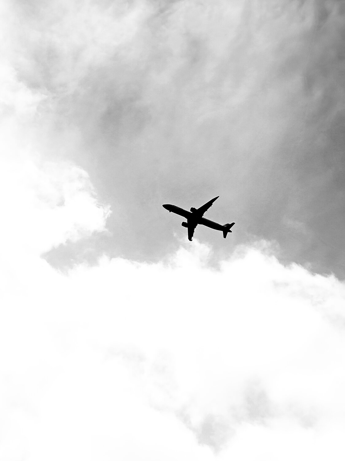 Photo #13842381