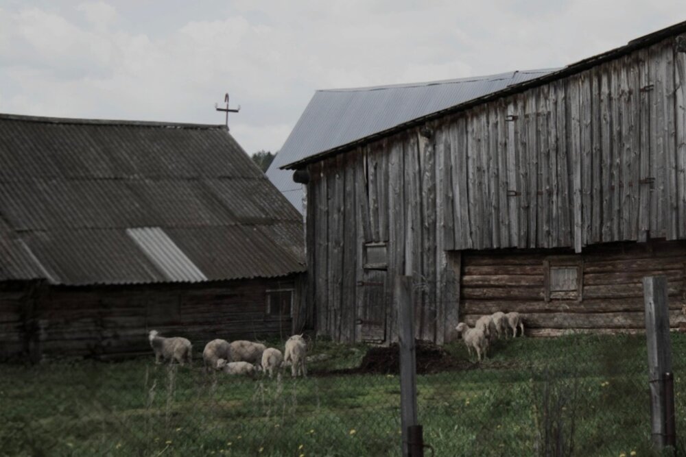 Photograph by Боярченко Анна