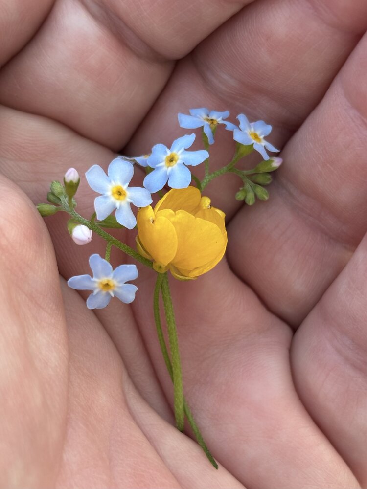 Photograph by Жанна Каргаполова