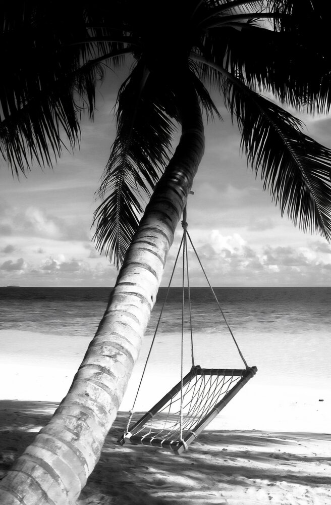 Photograph by Elvira Oleinik