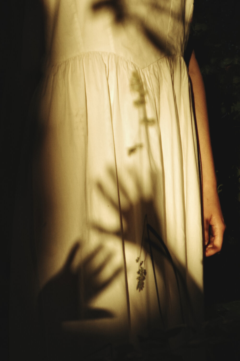 Photo #13842561