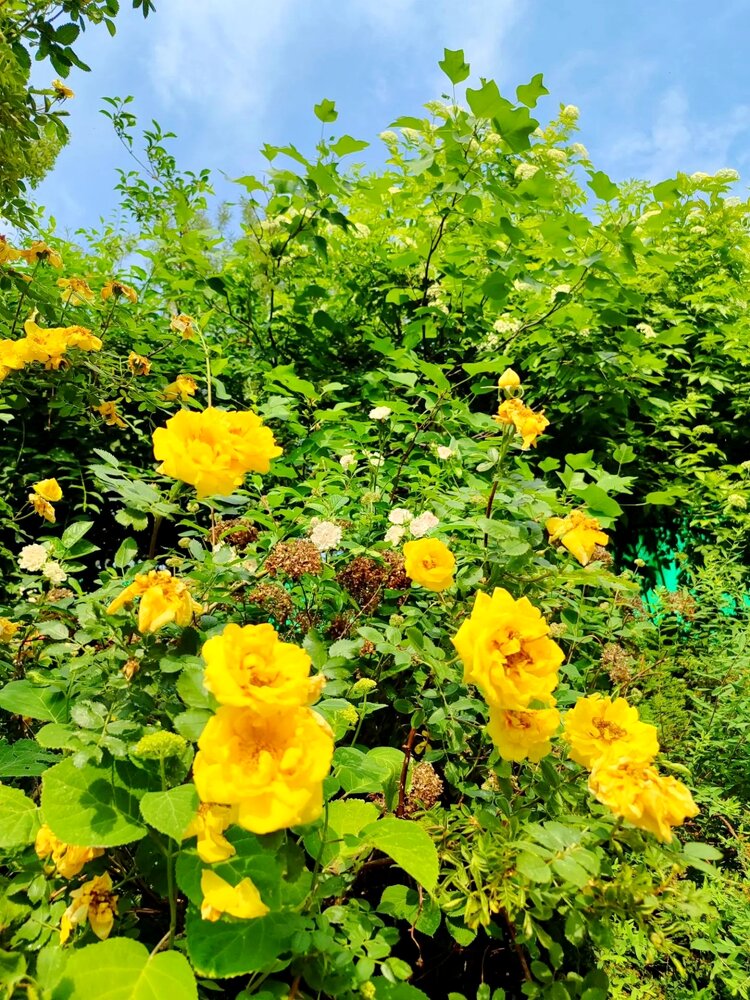 Photograph by Юлия Холомцева