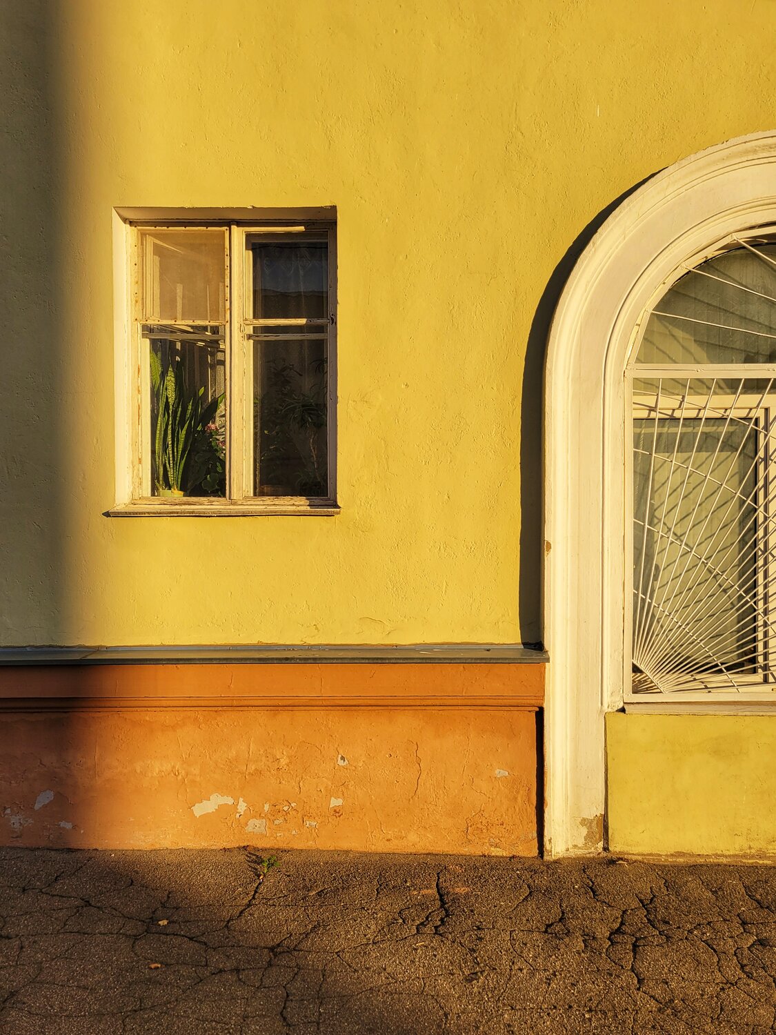 Photo #13842700