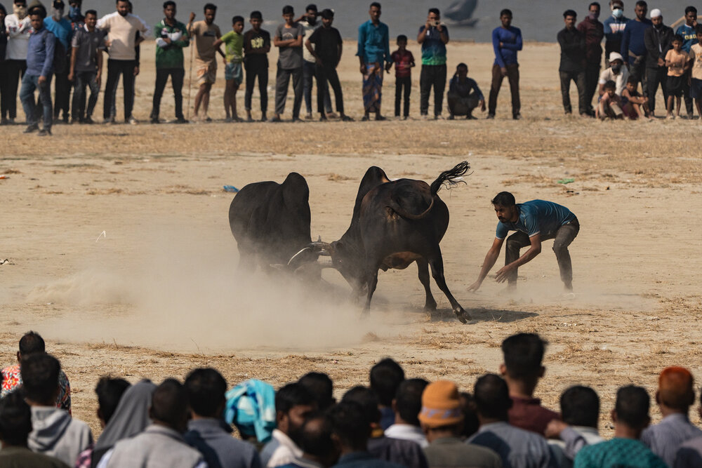 Photograph by Mohammad Foisal