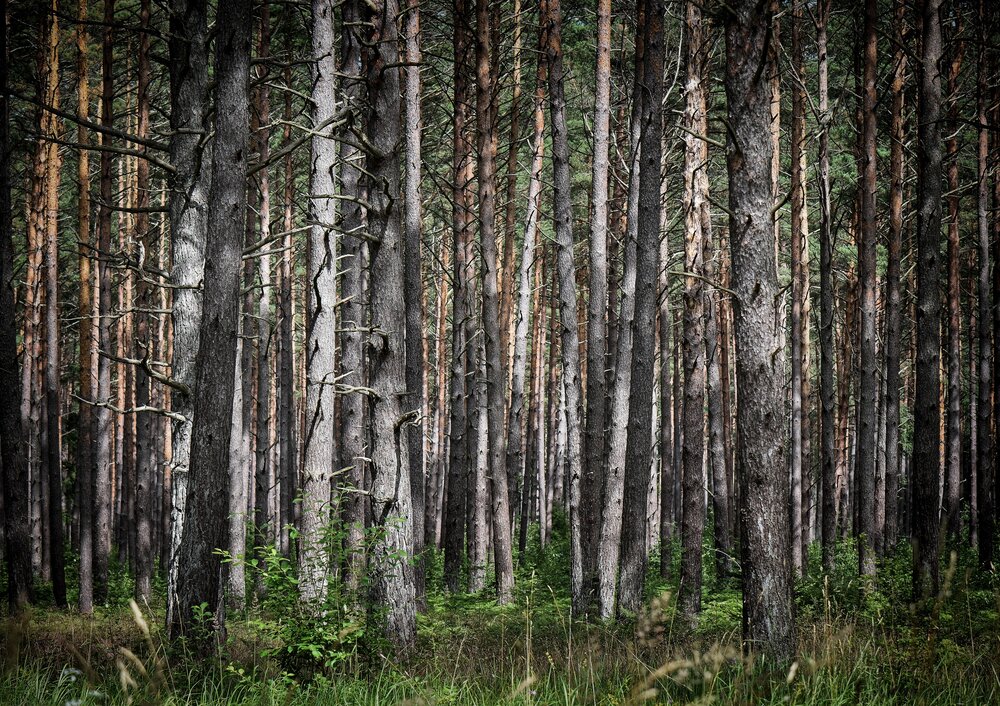 Photograph by Aleksandra Bistrova