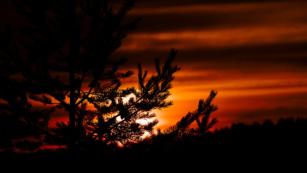 Photograph by Лоскутов Илья