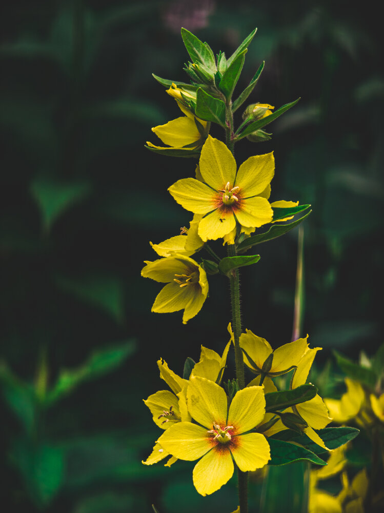 Photograph by Павел Овчаров