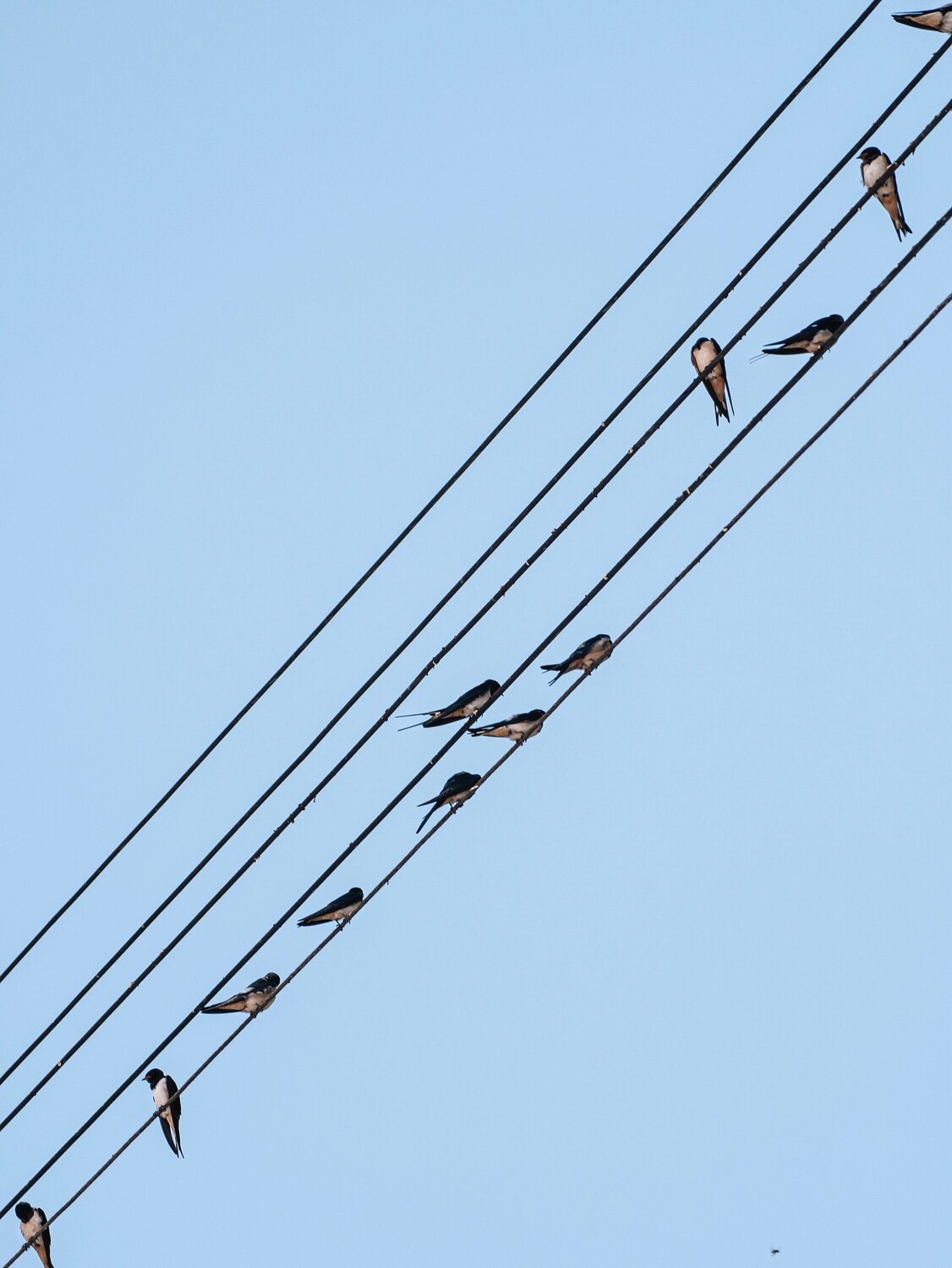 Photo #13842774