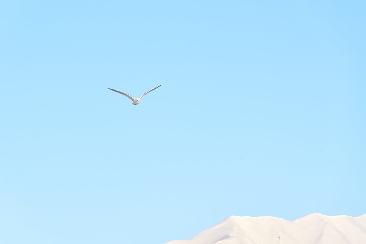Photo #13842793