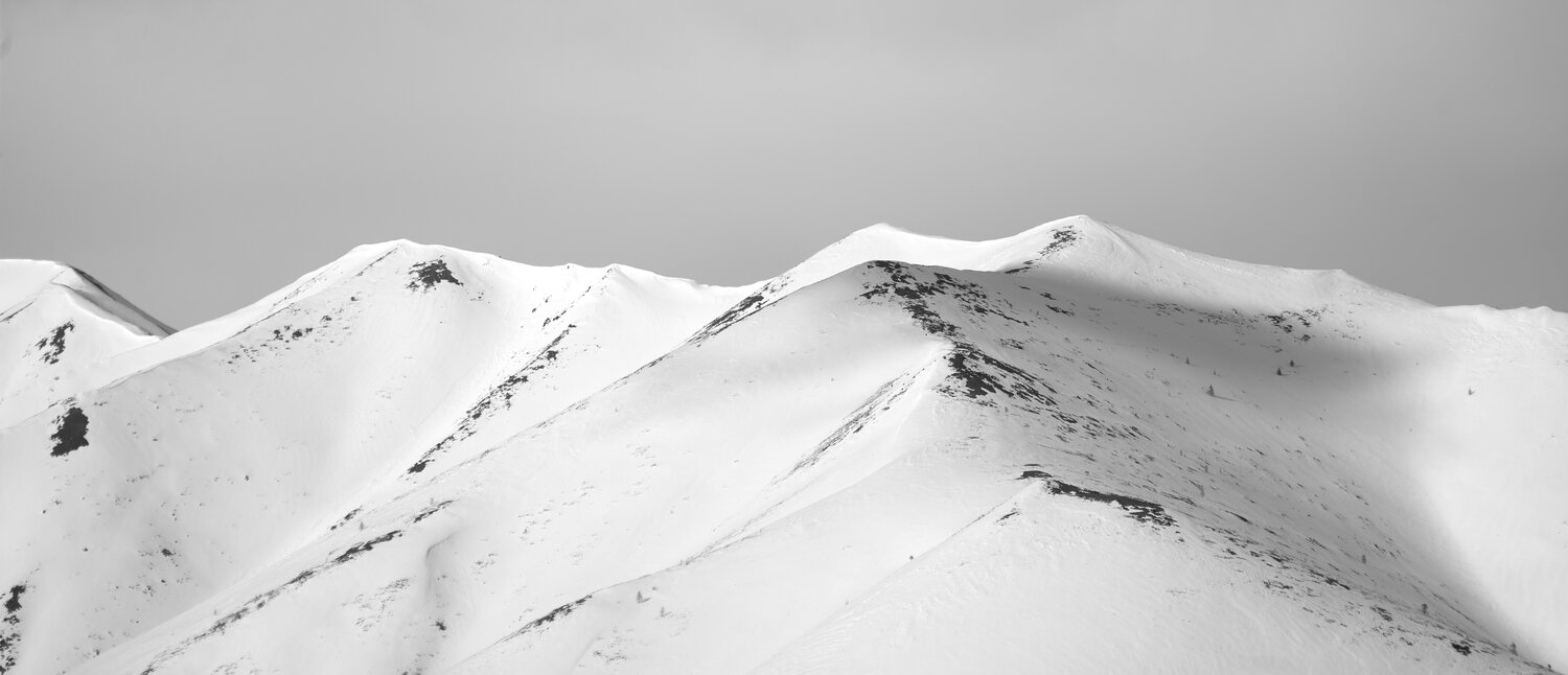 Photo #13842796