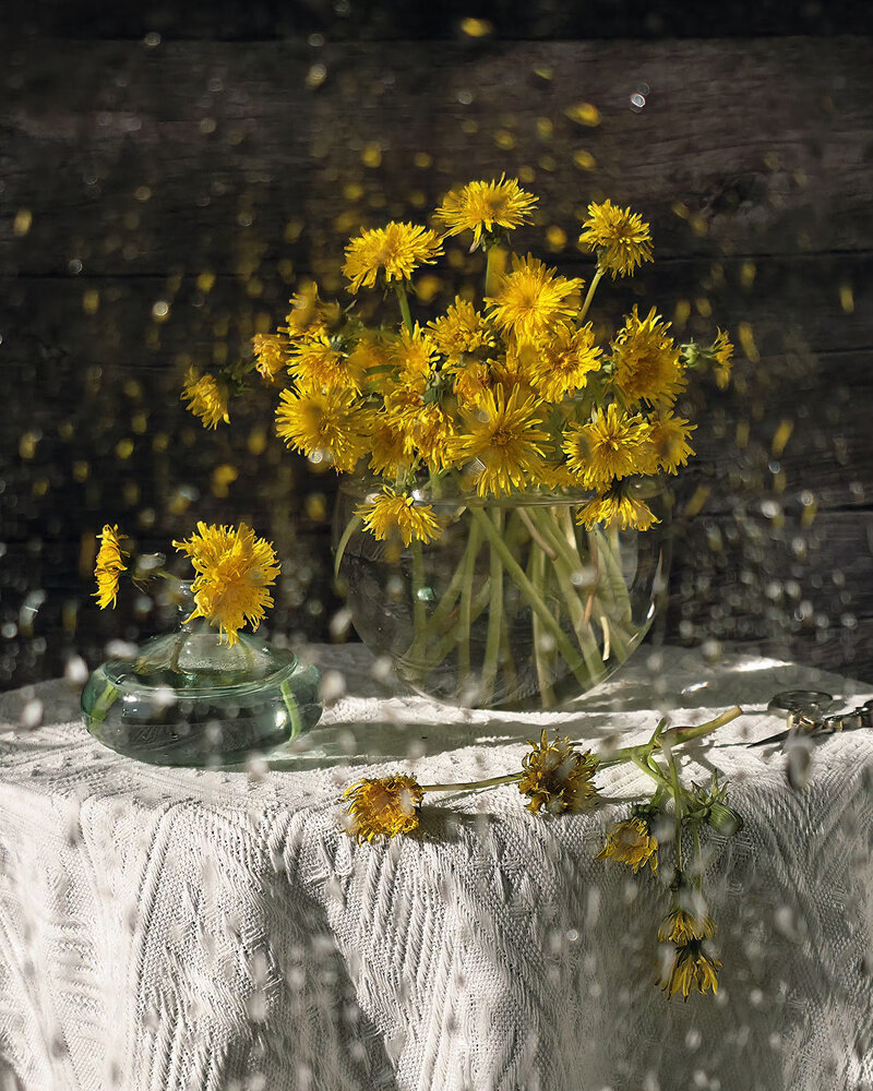 Photograph by Галина Гельфман