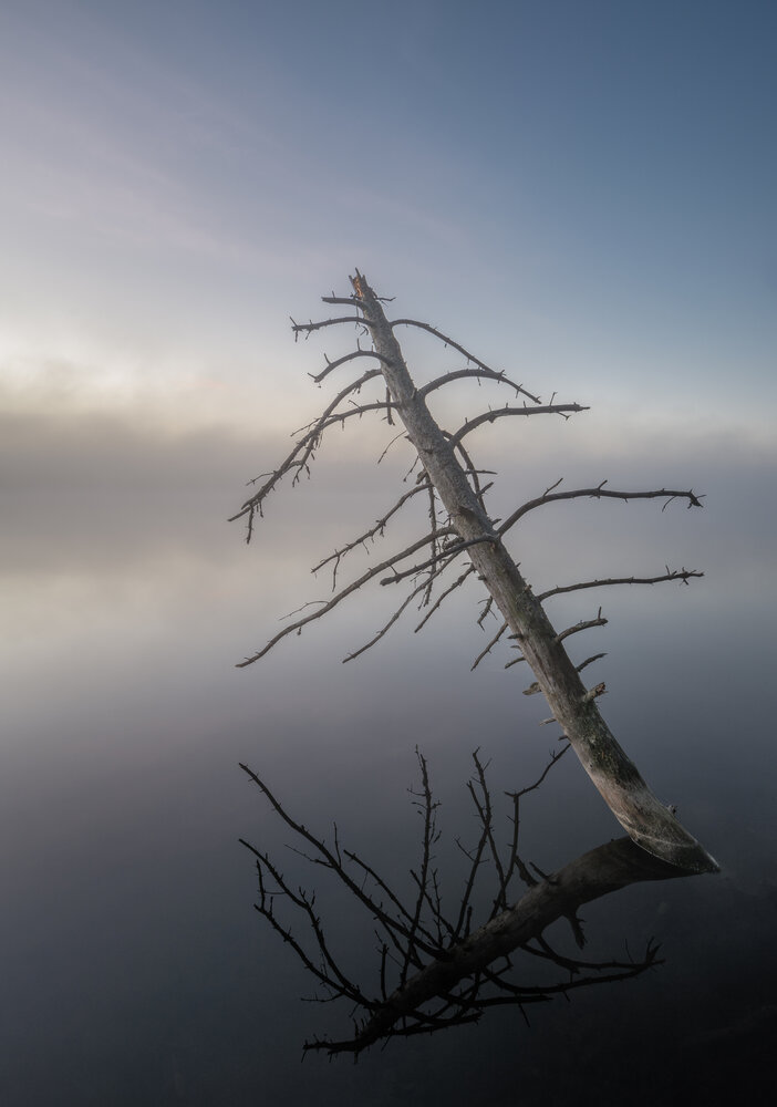 Photograph by Ivan Glinskiy