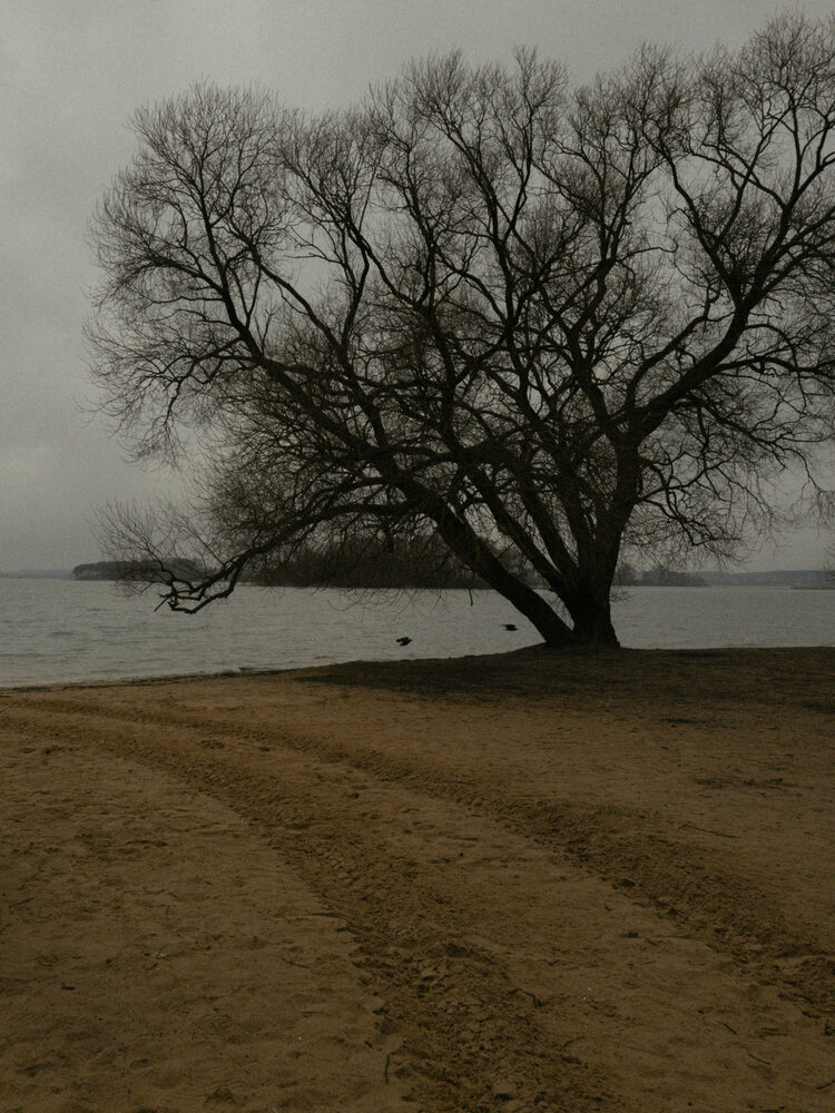 Photograph by Алина