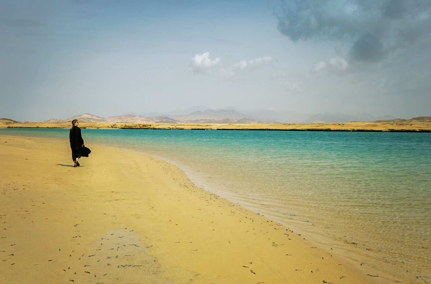 Photo #13842850