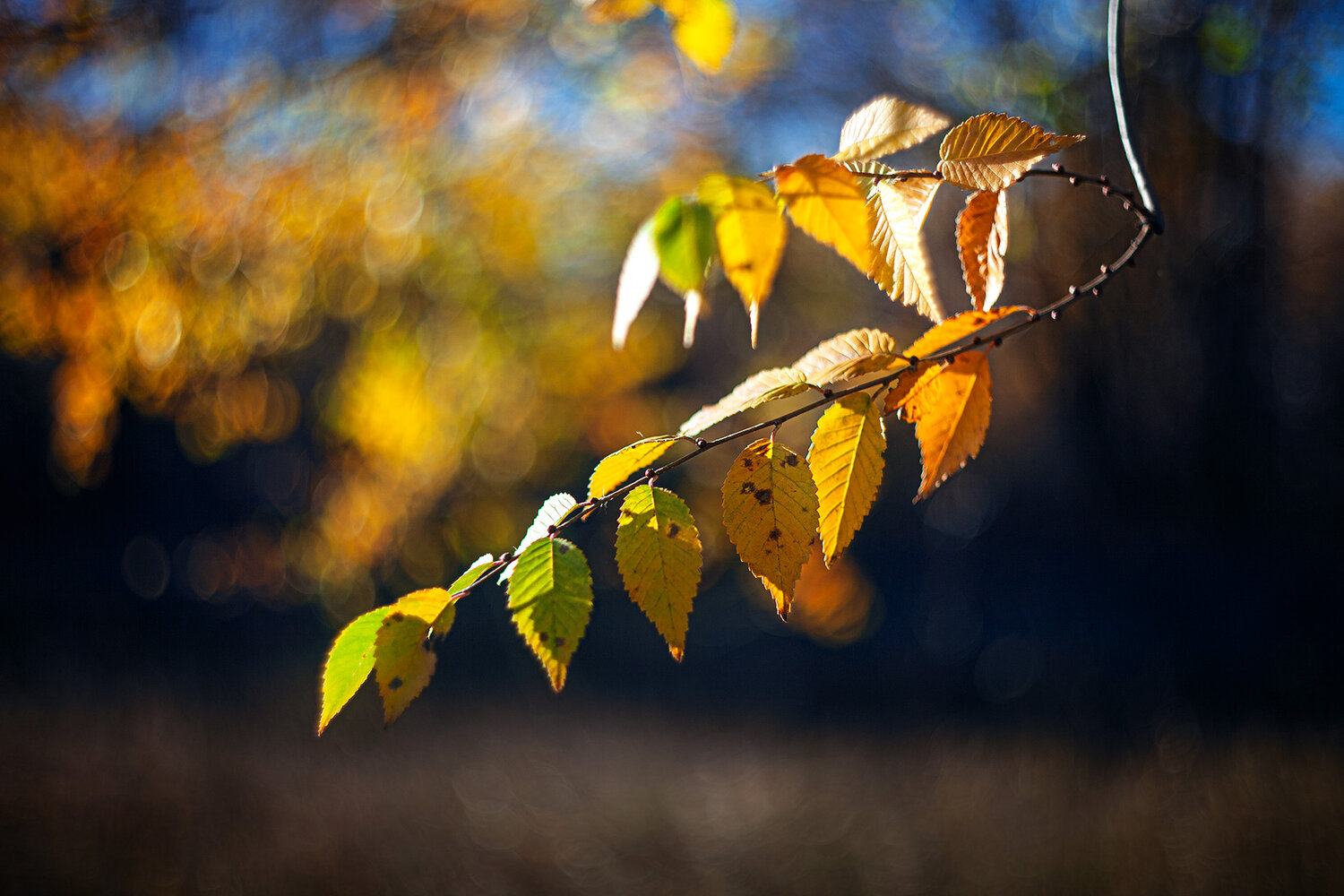 Photo #13842957
