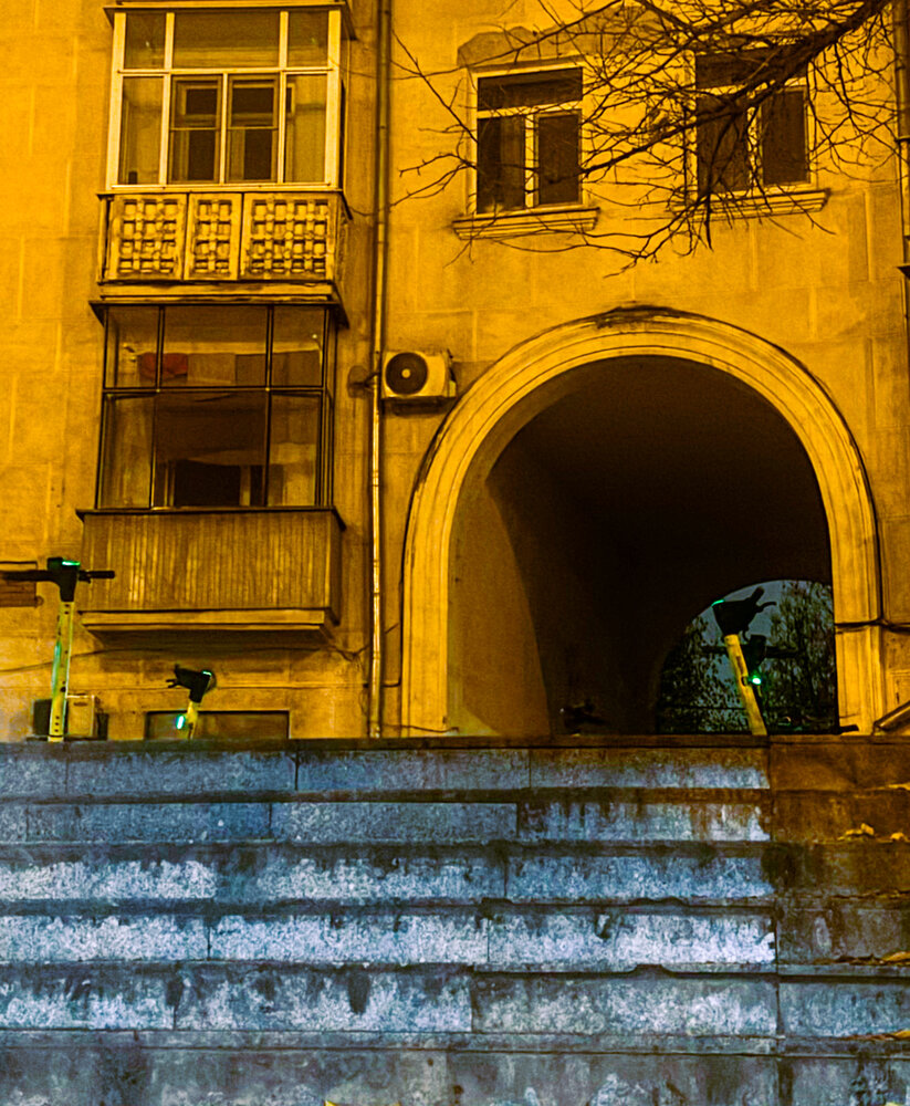 Фотография автора Дарья Бражнева